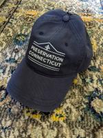 Preservation CT Baseball Cap